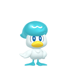 Quaxly macho