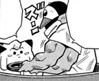 Machamp en PPM029