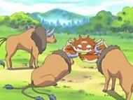 Tres Tauros hablando con Kingler.