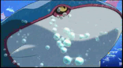 P11 Kyogre.png