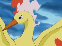Moltres en Crónicas Pokémon.