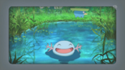 EP859 Wooper y Lotad Salvajes.png