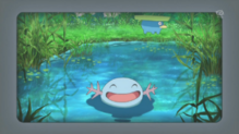 Wooper