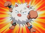 Imagen de Primeape
