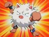 Primeape
