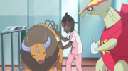 EP1011 Tauros.png