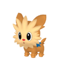 Lillipup HOME.png