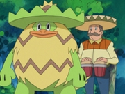 EP343 Ludicolo (2).png