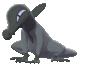 Imagen de Salandit en Pokémon Espada y Pokémon Escudo