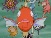 Psyduck
