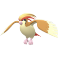 Imagen de Pidgeot en Pokémon Diamante Brillante y Pokémon Perla Reluciente