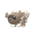 Imagen de Zigzagoon en Pokémon Diamante Brillante y Pokémon Perla Reluciente