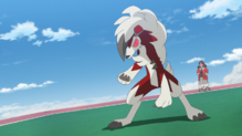 Lycanroc