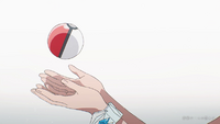 Pokébola/Poké Ball de Selene en Crossroad.