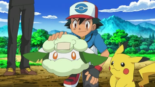 Imagen de Cottonee