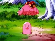 EP090 Diglett y Paras.png