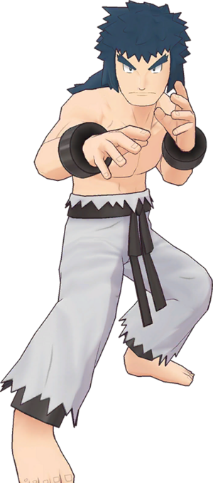 Bruno del Alto Mando (Masters EX) - WikiDex, la enciclopedia Pokémon