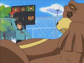 Ursaring
