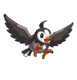 Starly