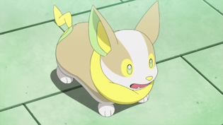 Imagen de Yamper