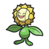 Sunflora