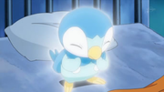 EP591 Piplup deteniendo su evolución.png