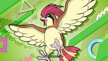 Pidgeotto