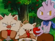EP235 Primeape, Mankey y Tyrogue.png