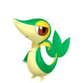Snivy HOME.png