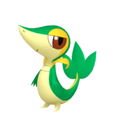 Snivy macho