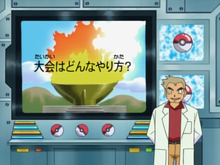 Imagen de la Lección Pokémon EP078