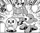 Rowlet en PMSM02