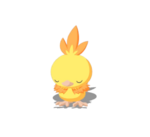 Calentita variocolor