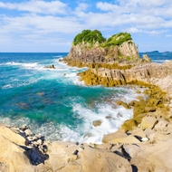 Fondo de Fukui