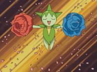 Roselia usando danza pétalo mientras desaparece...