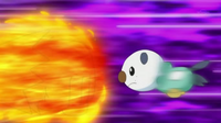 Oshawott usando placaje.