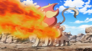 Litleo y Pyroar salvajes usando lanzallamas.