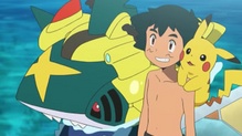Sharpedo