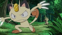 Meowth del Equipo/Team Rocket usando golpes furia.