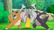 EP985 Formas regionales Marowak.png