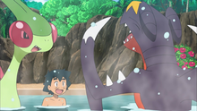 Rivalidad entre Flygon y Garchomp.