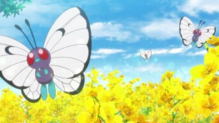 Butterfree