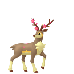Sawsbuck primavera