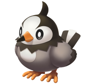 Starly en Pokémon Diamante Brillante y Perla Reluciente.