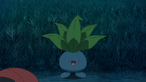 Oddish