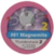 Magnemite ficha (PME).png