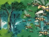 Beedrill
