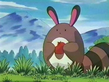 Sentret