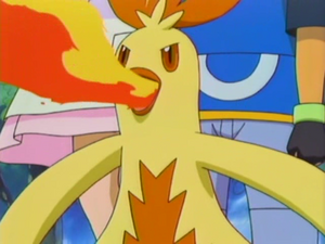 Combusken usando lanzallamas.