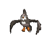 Imagen de Staravia macho en Pokémon X, Pokémon Y, Pokémon Rubí Omega, Pokémon Zafiro Alfa, Pokémon Sol, Pokémon Luna, Pokémon Ultrasol y Pokémon Ultraluna